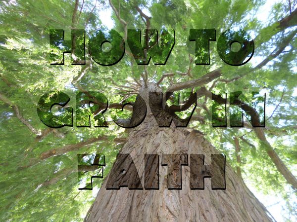 6.30pm - How to grow in faith Image
